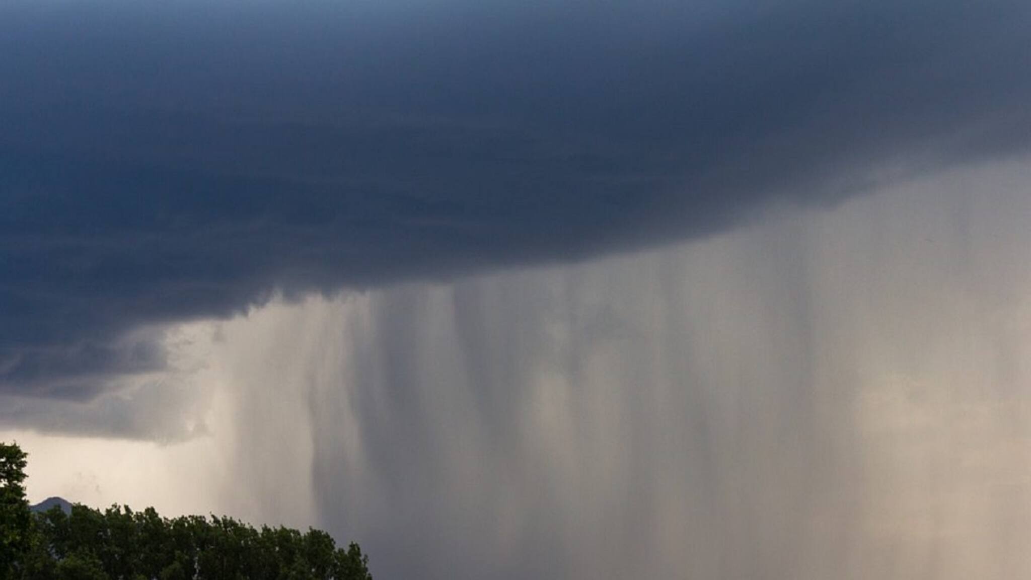 বঙ্গোপসাগরের নিম্নচাপ বাড়াচ্ছে শক্তি, উত্তর থেকে দক্ষিণ কতটা বৃষ্টি, রইল আপডেট