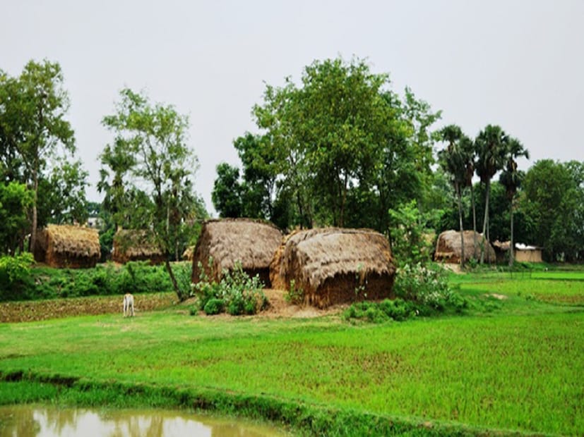 এবার আসা যার উত্তরে। উইকিপিডিয়ার তথ্য অনুযায়ী, ভারতের প্রতিটি রাজ্যের মতই বাংলারও গ্রামের সংখ্যা পরিবর্তনশীল। ২০১৯ সালের শেষ সেনসাস অনুযায়ী পশ্চিমবঙ্গে মোট গ্রামের সংখ্যা ৪১ হাজার ২টি।