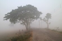 জগদ্ধাত্রী পুজোয় বৃষ্টি, পারদপতনের বিরাট ইঙ্গিত! শীত কবে পড়বে জানিয়ে দিল আলিপুর