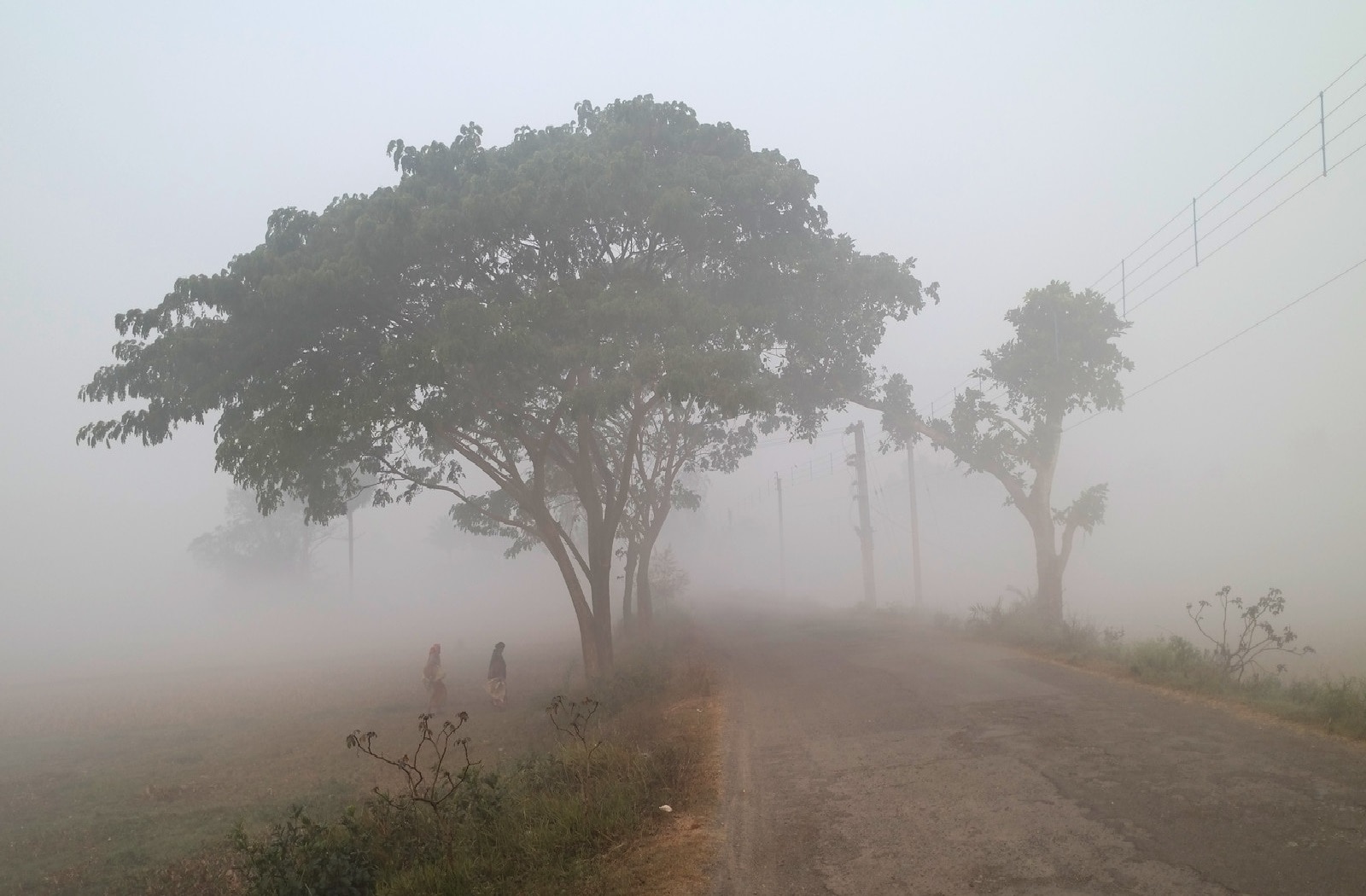 দক্ষিণবঙ্গে মঙ্গলবার থেকে বৃহস্পতিবার পর্যন্ত বৃষ্টি হতে পারে খুব সামান্য।  জেলায় দু এক জায়গায় স্থানীয়ভাবে বজ্রবিদ্যুৎ-সহ হালকা বৃষ্টির সম্ভাবনা আছে। তবে শুক্রবার থেকে পশ্চিমের জেলাগুলিতে শীতের শুষ্ক আমেজ শুরু। কলকাতা-সহ দক্ষিণবঙ্গের প্রায় সব জেলাতেই শনিবার থেকে শুষ্ক আবহাওয়া ও শীতের মরসুম টের পাওয়া যাবে। 