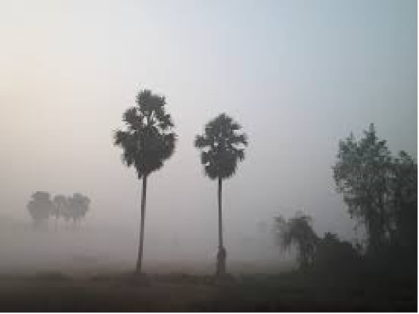 দার্জিলিংয়ের পার্বত্য এলাকায় বিক্ষিপ্তভাবে হালকা বৃষ্টির সামান্য সম্ভাবনা। বৃহস্পতিবার ও রবিবার বৃষ্টির সম্ভাবনা বেশি থাকবে। বাকি উত্তরবঙ্গের কোনও জেলাতেই বৃষ্টির সম্ভাবনা নেই।