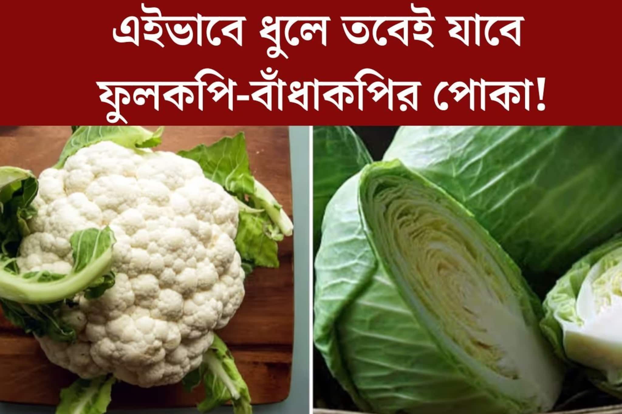 ফুলকপি-বাঁধাকপির মধ‍্যে লুকিয়ে থাকে হাজার হাজার পোকা? ধোয়ার সঠিক উপায় জানুন