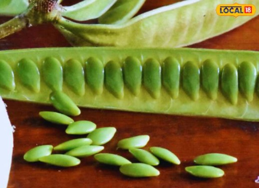 বাবলা শুঁটির ক্বাথ কফ, সর্দি, কাশি এবং গলা ব্যথা থেকে মুক্তি দেয়। এটি শ্বাসযন্ত্রের ট্র্যাক্ট পরিষ্কার রেখে শরীর থেকে অতিরিক্ত শ্লেষ্মা অপসারণ করতে সাহায্য করে, শ্বাস প্রশ্বাসকে সহজ করে তোলে।