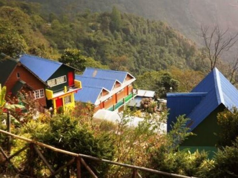 কালেজ ভ্যালিতে রয়েছে মাত্র দুটো হোম স্টে-- কালেজ ভ্যালি কানন হোম স্টে আর রেনবো ভ্যালি রিসর্ট। দুটোই একদম চা বাগানের ধার ঘেঁষে। পাহাড়ি রাস্তা দিয়ে হেঁটে বেরোতে বেরোতেই দেখবেন কখন যেন সময় কেটে গিয়েছে।