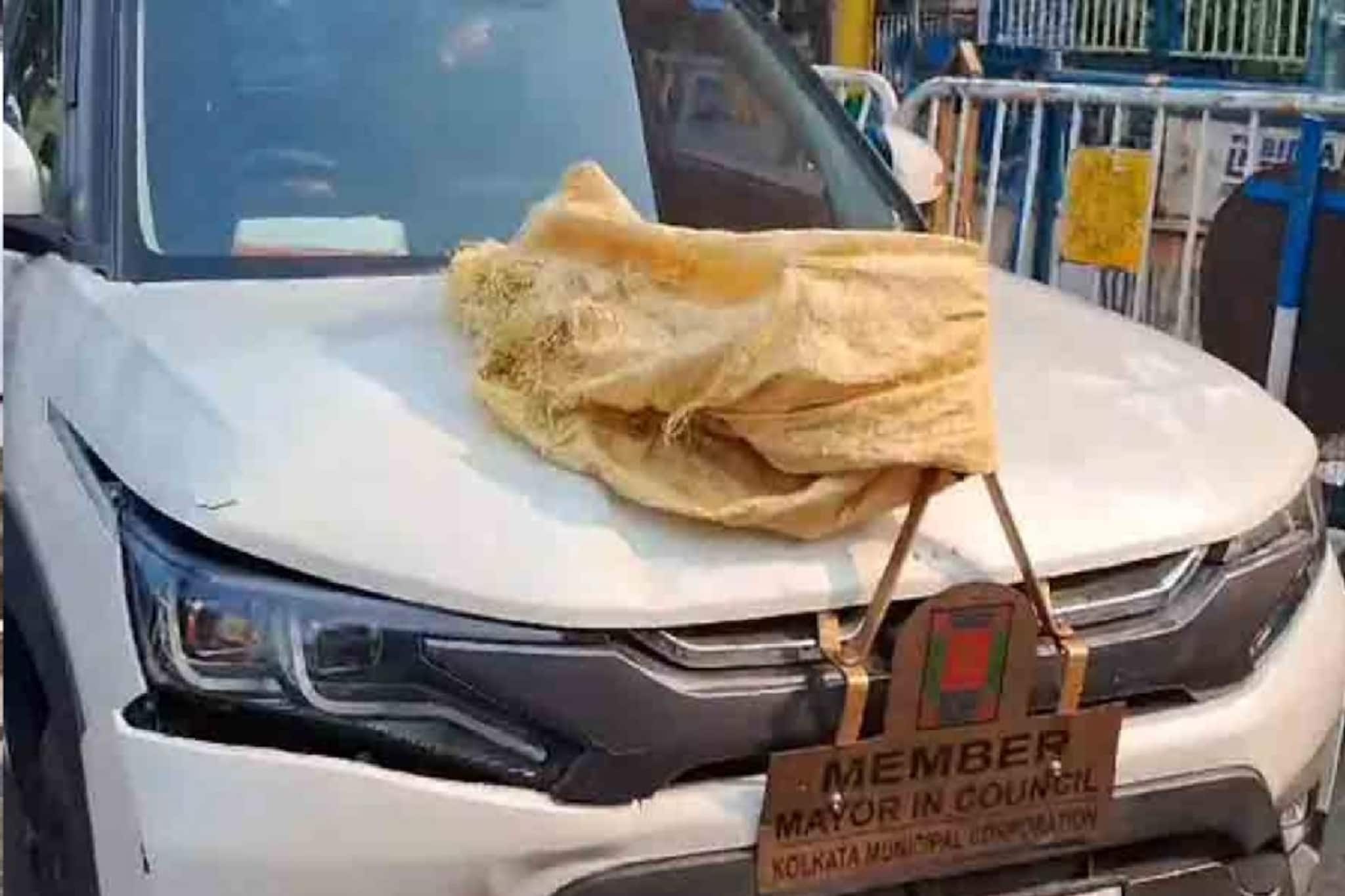 বৃদ্ধাকে গাড়ির ধাক্কা! গ্রেফতার কলকাতা পুরসভার কাউন্সিলের ছেলে