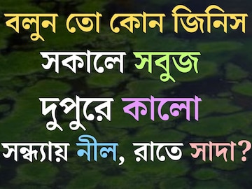 বলুন তো কোন জিনিস সকালে সবুজ, দুপুরে কালো, সন্ধ্যায় নীল এবং রাতে সাদা? বলুন তো কোন জিনিস সকালে সবুজ, দুপুরে কালো, সন্ধ্যায় নীল এবং রাতে সাদা?