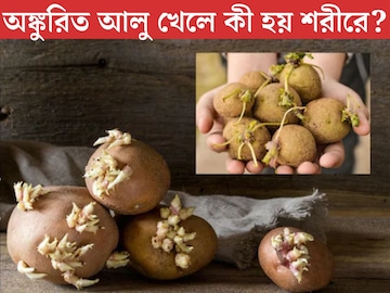 অঙ্কুর গজিয়েছে আলুতে, কেটে বাদ দিলেই কি খাওয়া যাবে? ঝাঁঝরা করছে নাতো শরীর?
