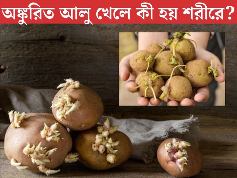 যে গুটি কয়েক জিনিস ছাড়া বাড়ির রান্নাঘর এককথায় অসম্পূর্ণ, তার মধ‍্যে একটি হল আলু। আলু ছাড়া রোজের রান্না করা কল্পনা করাই দায়। প্রায় প্রতিটি পরিবারেরই তাই খাওয়া দাওয়ার নিত‍্য সঙ্গী আলু। 