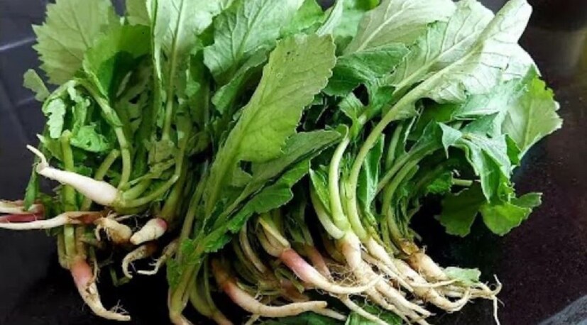 এছাড়া সবুজ পাতাযুক্ত শাকে আছে আয়রন, ফোলেট ও পটাশিয়াম। শীতের এই মৌসুমে উপকারী এই শাক আপনার প্রতিদিনের খাবারের তালিকায় রাখতে চেষ্টা করুন। এতে শরীর সুস্থ রাখা সহজ হবে 