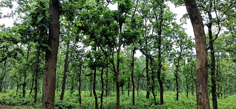 তবে এই গণপুর এলে থাকার কোনওজায়গা নেই। তবে মোহাম্মদ বাজার রেঞ্জের মল্লারপুর বিটের গণপুর বনবাংলোয় থাকার ইচ্ছা থাকলে যোগাযোগ করতে হবে ডিভিশনাল ফরেস্ট অফিসারের (সিউড়ি, বীরভূম) সঙ্গে। যোগাযোগের নম্বর : ০৩৪৬২-২৫৫২৬২। রামপুরহাট অথবা সিউড়িতে রাত্রিবাস করেও জায়গাগুলি দেখে নেওয়া যায়।আর তাছাড়াও বীরভূমের তারাপীঠ মন্দিরে পুজো দিতে এসে আপনি পুজো দেওয়ার পরে এই গণপুর এর জঙ্গলের আনন্দ নিতে পারবেন।