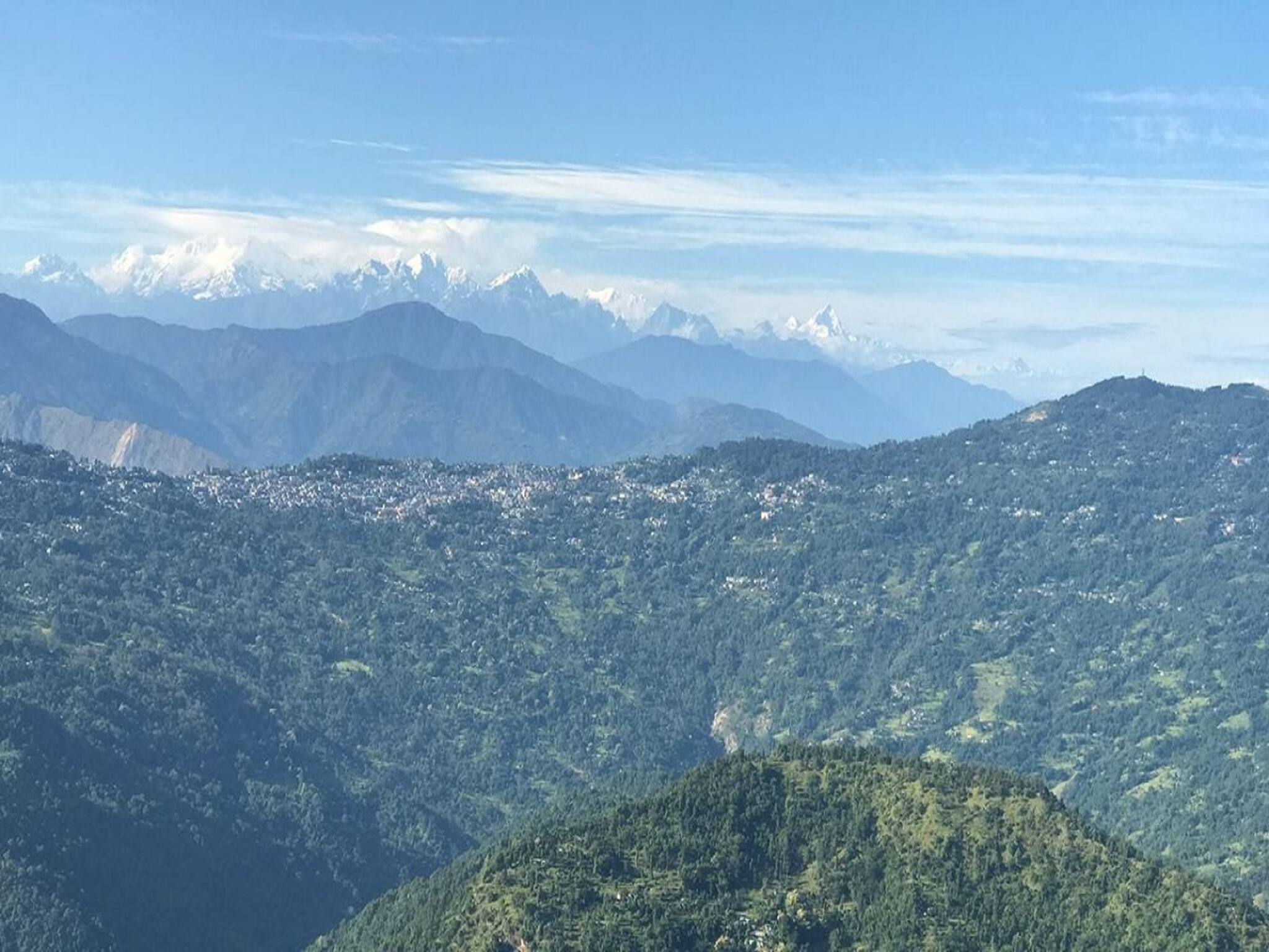 একটু দূরেই সিনজি! ক্রিসমাসের ছুটিতে হাতে হাত দিয়ে পাইন বনে রাস্তা হারান