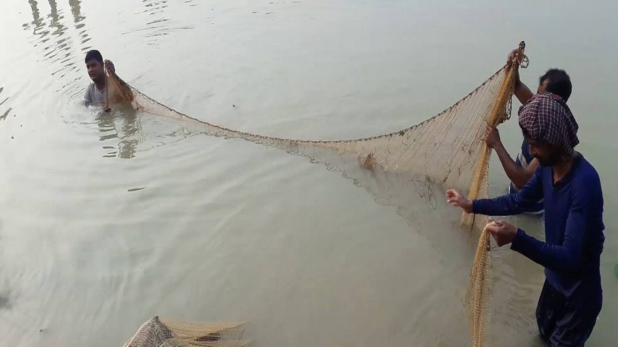 Viral News: পুকুরে মাছ ধরতে গিয়ে একী উঠল জালে! বিরল ঘটনা! আতঙ্কে মানুষ