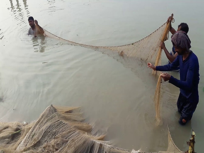 ইতিমধ্যেই শীত পড়তেই বেশকিছু এলাকায় সাপের উপদ্রব বাড়তে শুরু করেছে। বেশকিছু এলাকায় সাপ ধরা পড়ছে প্রায়শই। তাই বলে একী উঠে এল পুকুর থেকে? জানলে চমকে যাবেন ইতিমধ্যেই শীত পড়তেই বেশকিছু এলাকায় সাপের উপদ্রব বাড়তে শুরু করেছে। বেশকিছু এলাকায় সাপ ধরা পড়ছে প্রায়শই। তাই বলে একী উঠে এল পুকুর থেকে? জানলে চমকে যাবেন