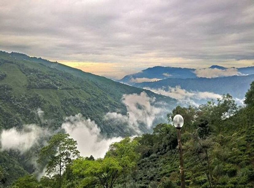 এখানে আসতে হলে আগে আপনাকে ট্রেনে করে আসতে হবে নিউ জলপাইগুড়ি বা প্লেনে বাগডোগরা। এবার সেখান থেকে গাড়ি ভাড়া করে সোজা চলে আসতে পারেন কালেজ ব্যালি। অথবা শেয়ার গাড়িতে আসুন রংবুল পর্যন্ত। সেখান থেকে হোম স্টে-কে বলে রাখলেই তারা গাড়ি পাঠিয়ে দেবে।