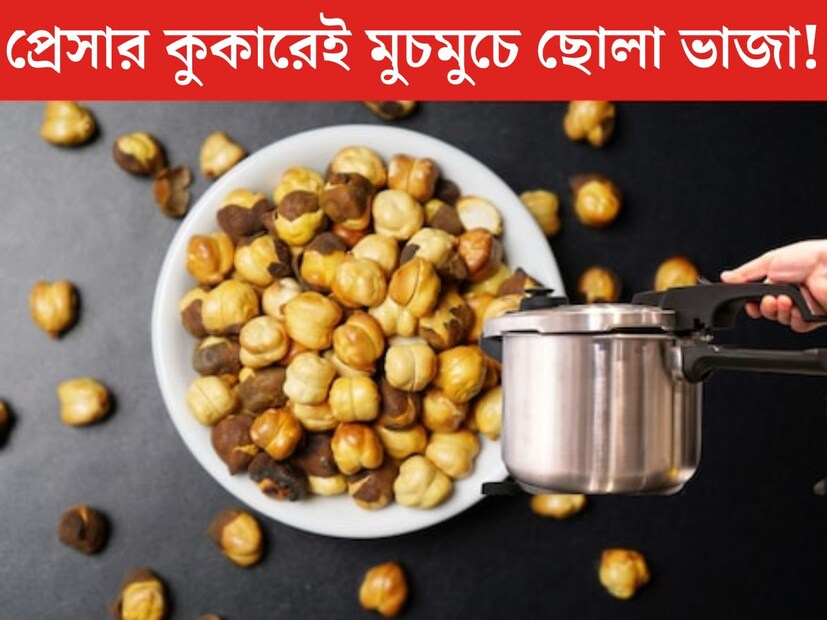 স্বাস্থ&#x200d;্যকর ও পুষ্টিকর খাবারের কথা উঠলে প্রথমেই আসে ছোলার নাম। ফাইবার এবং প্রোটিনে ভরপুর ছোলা খাওয়ার শরীরের জন&#x200d;্য অত&#x200d;্যন্ত উপকারী। এর মধ&#x200d;্যে ভাজা ছোলা শুধু স্বাস্থ&#x200d;্যকরই নয়, স্বাদেও দুর্দান্ত। 