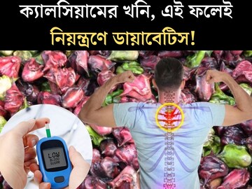 পুষ্টিতে ৪০০ টাকার অ‍্যাভোকাডোকে দশ গোল! কম দামের ফলই ডায়াবেটিসের ‘মারণাস্ত্র’