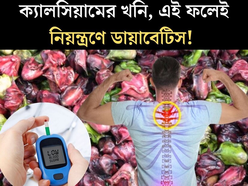 স্বাস্থ‍্যকর খাবারের তালিকায় শুরু দিকেই নাম আসে অ‍্যাভোকাডোর। এই ফলটির কথা শোনা যায় সেলেবদের মুখেও। কিন্তু বিদেশী এই ফলের দাম শুনলেই মধ‍্যবিত্তের উঠবে নাভিশ্বাস। 