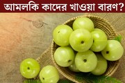 ভিটামিন সি, ক্যালসিয়ামের ভান্ডার! তবুও সাবধান, আমলকি কাদের ছোঁয়া উচিত নয়?