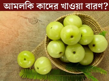ভিটামিন সি, ক্যালসিয়ামের ভান্ডার! তবুও সাবধান, আমলকি কাদের ছোঁয়া উচিত নয়?