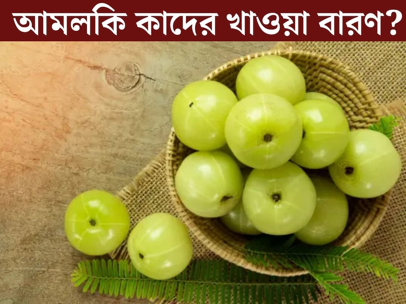 শীতকাল মানেই বাজারে ছেয়ে আছে আমলকি। প্রাচীন আয়ুর্বেদশাস্ত্রেও উল্লেখ‍্য রয়েছে আমলার অসাধারণ গুণের কথা। আমলকিকে আয়ুর্বেদে ‘মহৌষধ’ বলা হয়। কিন্তু গুণে ভরপুর আমলা খাওয়ার ক্ষেত্রেও রয়েছে বিধিনিষেধ। 