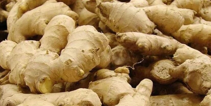 বিশিষ্ট চিকিৎসক রঞ্জন দাস জানান, প্রতিদিন আদা খেলেবমি বমি ভাব দূর হয়। এছাড়া পেটে গ্যাস্ট্রিক রসের উৎপাদন বাড়ায় আদা।যা খাবারকে খুব দ্রুত হজম করতে সাহায্য করে। এর মধ্যে থাকা অ্যান্টিস্পাজমোডিক পেশির খিঁচুনি নিয়ন্ত্রণ করে। আদায় আছে জিঞ্জেরল, শোগাওল, জিঞ্জেরোন। যা বমি বমি ভাব দূর করে।