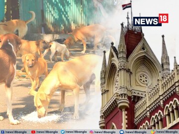 Kolkata High Court