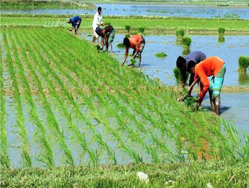 মোরাদাবাদের কৃষি বিজ্ঞানী ড. দীপক মেহেন্দি রত্তা বলেন যে, ঢেঁড়শ বপনের আগে, জমি গভীর ভাবে খোঁড়া প্রয়োজন। এর জন্য লাঙ্গল ব্যবহার করা উচিত। এর পরে, মাটি হালকা করার জন্য সূর্যালোকের সংস্পর্শে আসতে দিতে হবে। এরপর মাটি নরম হতে দিতে হবে, তারপর আবার ভাল করে খুঁড়তে হবে, যেন মাটি একবারে নরম ও ঝুরঝুরে হয়।