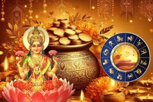 ২০২৫এ হবে রাজযোগ, লক্ষ্মীর কৃপায় তিন রাশি থাকবে টাকার পাহাড়ে, হবে সুখের বৃষ্টি