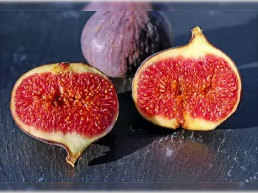 ডুমুরে প্রচুর পরিমাণে জিঙ্ক আছে। এই উপাদান পুরুষদের শুক্রাণুর সংখ্যা বা স্পার্ম কাউন্ট বাড়াতেও সাহায্য করে। এছাড়া যাঁরা পুরুষত্বহীনতার সমস্যায় ভুগছেন, তাঁরা এই ফল খেলে দারুণ উপকার পাবেন। জিঙ্কের মতো জরুরি পুষ্টি উপাদান পুরুষদের দেহে টেস্টোস্টেরন হরমোনের মাত্রা বৃদ্ধি করে। ফলে পুরুষদের যৌন ক্ষমতাও বেড়ে যায়।