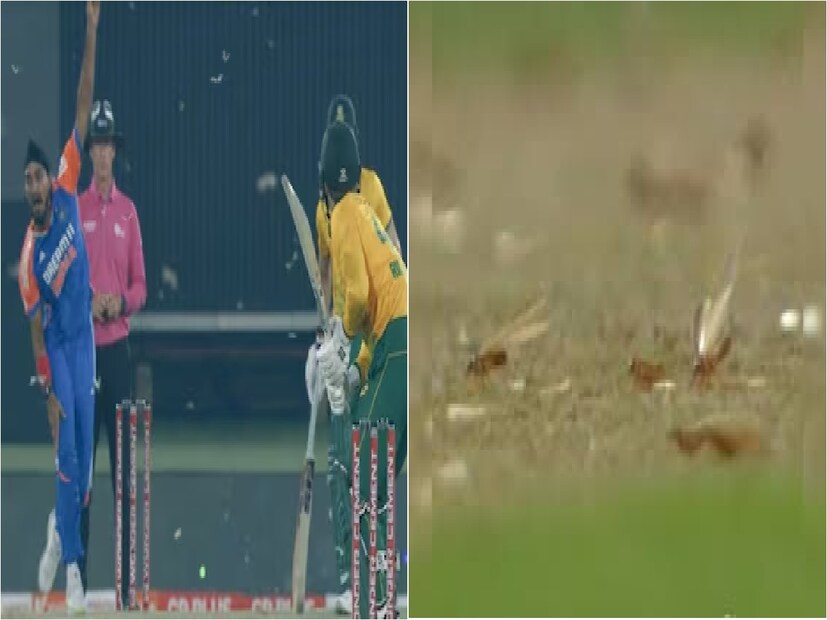 IND vs SA: ভারত বনাম দক্ষিণ আফ্রিকা ম্যাচে সে কী হুজ্জুত, সে কী কাণ্ড৷  ভারত বনাম দক্ষিণ আফ্রিকার দ্বিতীয় ইনিংসে যখন প্রোটিয়া বাহিনীদের ব্যাটিং চলছিল ঠিক তখনই শয়ে শয়ে উড়ন্ত পিঁপড়ের হানা হয় স্টেডিয়ামে৷