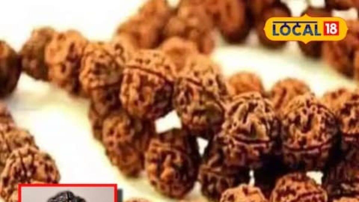 Bhuto Raksha Astrology: ভগবান শিবের অতি প্রিয়...! শরীরের রক্ষাকবচ এটি! রাশি মেনে ...