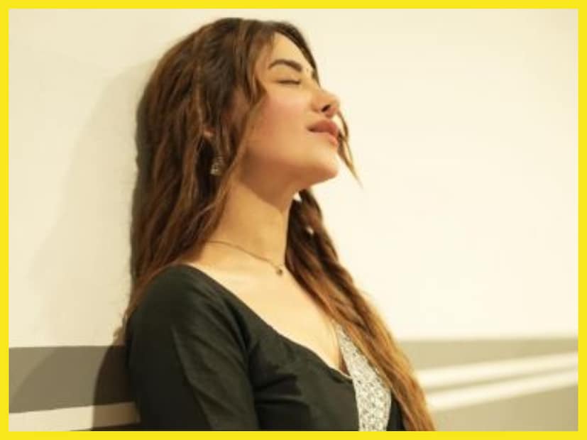 ইটাইমসের একটি সাক্ষাৎকারে জানতে পারা গিয়েছে পারসের সঙ্গে ২০২৩-এ ব্রেকআপ হয় মাহিরার ৷ এমনকি একে অপরের সঙ্গে কথাও বলেন না ৷ ছবি সৌজন্যে ইনস্টাগ্রাম ৷
