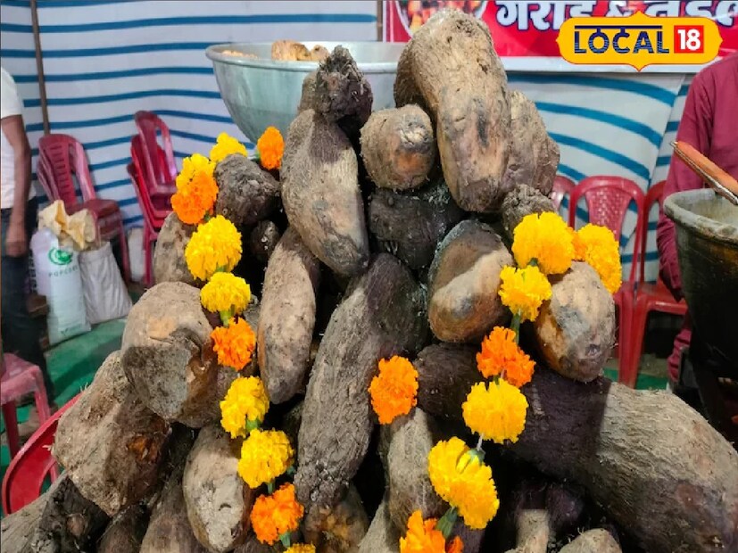 *এক প্লেট (১০০ গ্রাম) মেটে আলুর চাটের দাম মাত্র ৫০ টাকা। সন্ধ্যা ৬টা থেকে রাত ১১টা পর্যন্ত এই দোকানে চলে বেচাকেনা। অর্জুনভাই বলেন যে, ৫ ঘণ্টায় মেটে আলুর চাটের ৫০টিরও বেশি প্লেট বিক্রি হয়। আর এই চাটের স্বাদ বাড়াতে এক বিশেষ মশলা যোগ করা হয়। এখানেই শেষ নয়, ওই দোকান থেকে ৮০ টাকা কেজি দরে মেটে আলু কিনে নিয়ে যান এলাকার মানুষ। সংগৃহীত ছবি। 