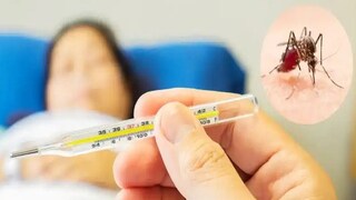 এ নিয়ে বেলেঘাটা আইডি হাসপাতালে ২ জন ডেঙ্গি আক্রান্তের মৃত্যু হল। মৃত কাশীনাথ মণ্ডল কামদুনির বাসিন্দা, মৃত গায়িত্রী পাত্র ভোজেরহাট বাসিন্দা।