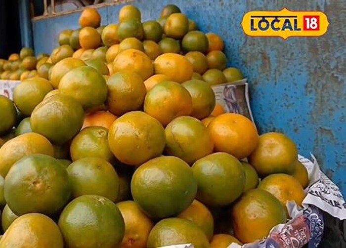 Darjeeling Oranges: বিকোচ্ছে নকল কমলা! ঠকার আগে আসল দার্জিলিং-এর কমলা চিনুন এই সহজ উপায়ে Darjeeling Oranges: বিকোচ্ছে নকল কমলা! ঠকার আগে আসল দার্জিলিং-এর কমলা চিনুন এই সহজ উপায়ে