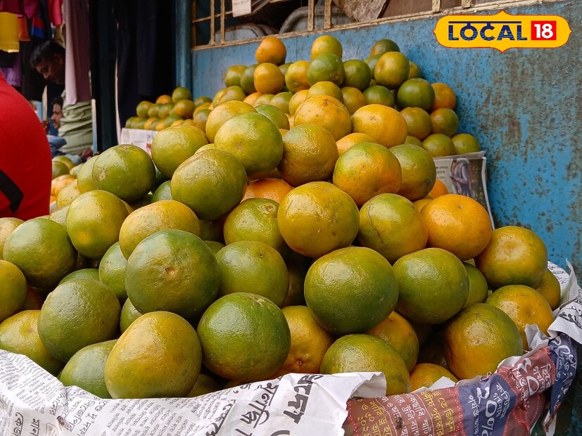 শীতকাল মানেই কমলালেবু এরই মধ্যে শিলিগুড়ির বাজারে কম করে হলেও আসতে শুরু করেছে দার্জিলিঙের কমলালেবু। তবে দাম বেশ চড়া। বিক্রেতাদের দাবি, বাজারে বেশির ভাগ লেবুই এখন নাগপুরের। সেগুলি শিলিগুড়ির বিভিন্ন বাজারে ১০০ টাকা কেজি দরে বিক্রি হচ্ছে। দার্জিলিঙের কমলা ১২০ থেকে ১৪০ টাকা ডজনে বিকোচ্ছে।
