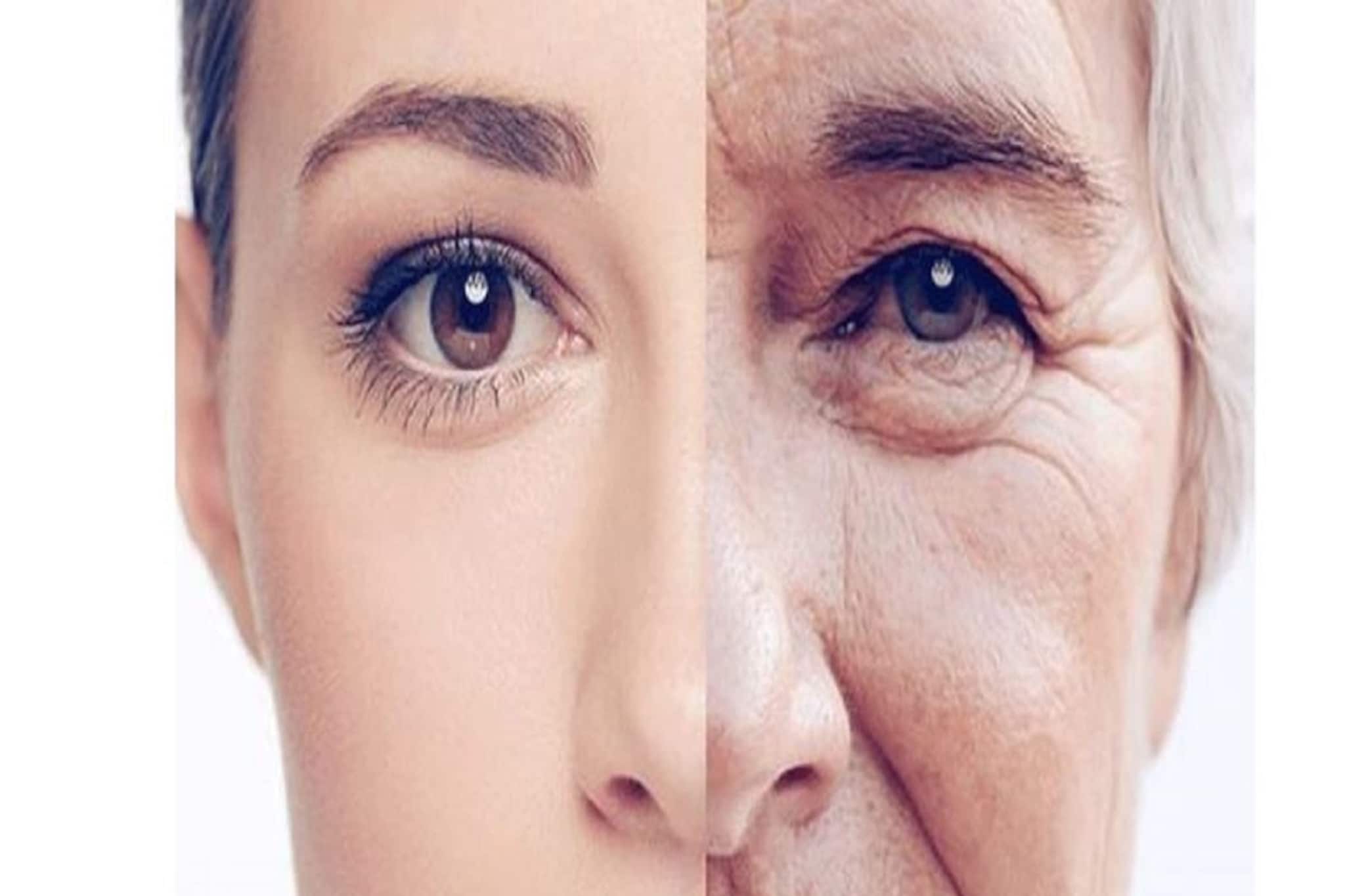 ত্বকের কোলাজেন ধরে রাখবে! বয়সের ছাপ দূর হবে! যৌবন ধরে রাখতে মাখুন সস্তার এই তেল