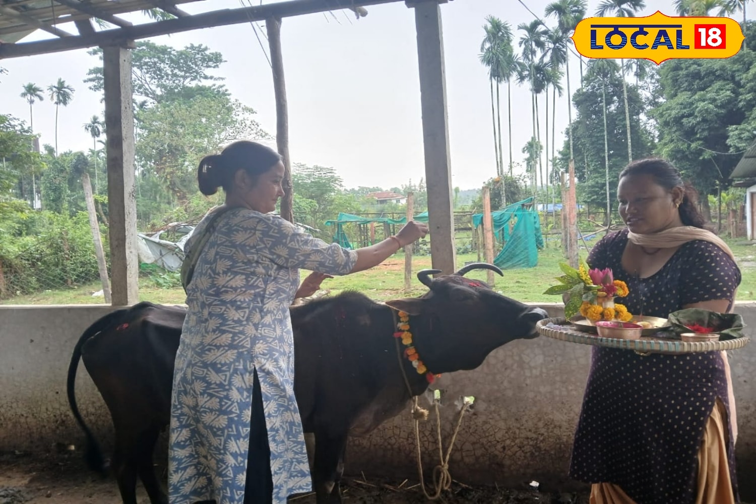 এই তিহার উৎসবে নেপালি সম্প্রদায়ের পুরুষ ও মহিলারা প্রকৃতি এবং পশুদের পুজো করে থাকে। গৃহপালিত পশু যারা সারা বছর উপকার করে থাকে নানাভাবে, তাদের পুজো করা হয়।