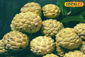 পাওয়া যায় মাত্র ক'মাস... এই ফলই হার্টের অসুখ,পেটের অসুখের যম,ঝটপট কমায় ওজনও পাওয়া যায় মাত্র ক'মাস... এই ফলই হার্টের অসুখ,পেটের অসুখের যম,ঝটপট কমায় ওজনও