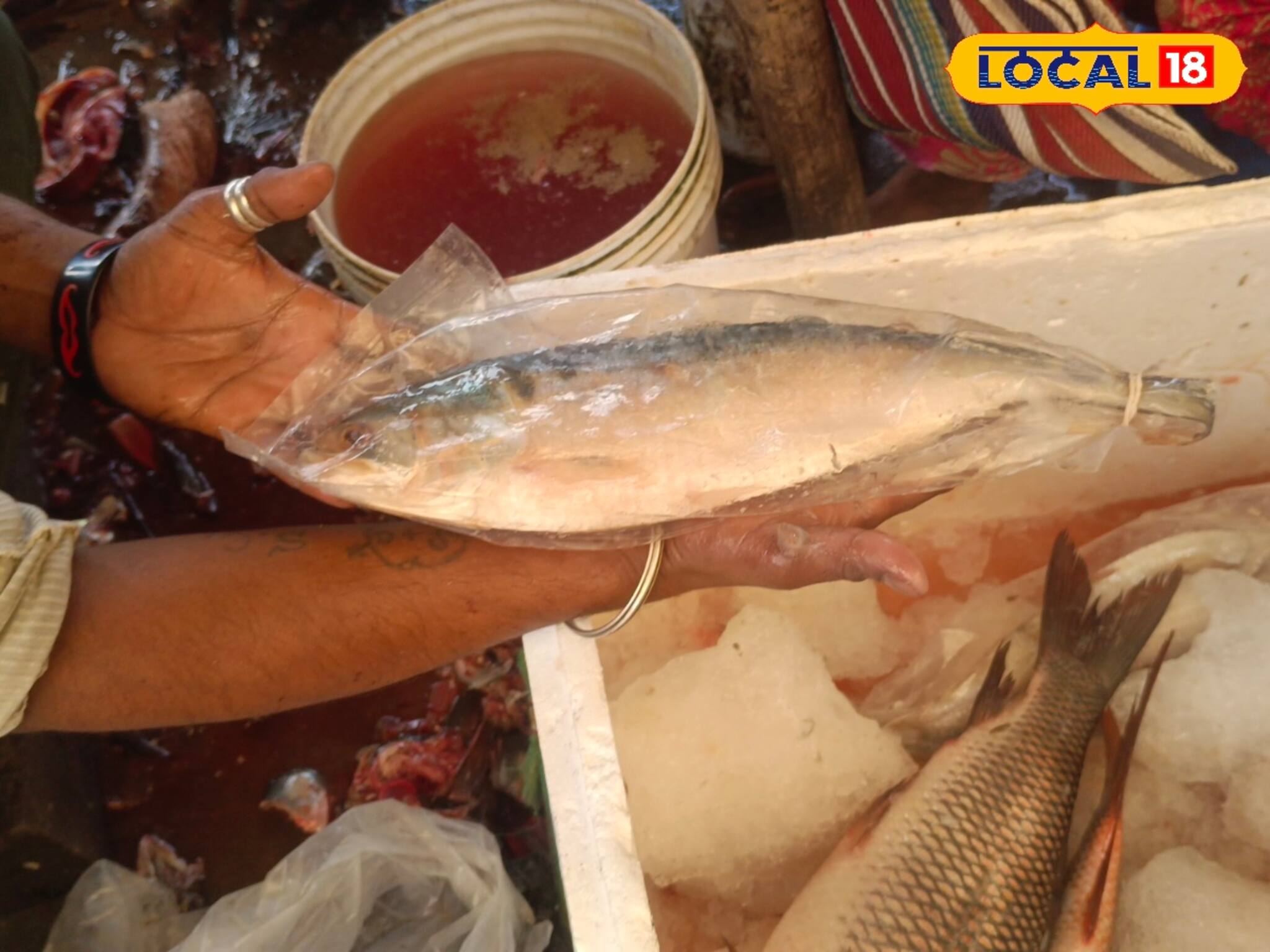 রাত পোহালেই ভাইফোঁটা,সাতসকালে বাজার যাওয়ার আগেই জানুন ইলিশ-চিংড়ি-মাংস-সবজির দাম