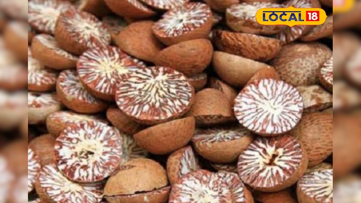 Knowledge Story: সুপারি খান? জানেন সুপারি খাওয়ার প্রচলন শুরু কীভাবে? জানলে অবাক হবেন