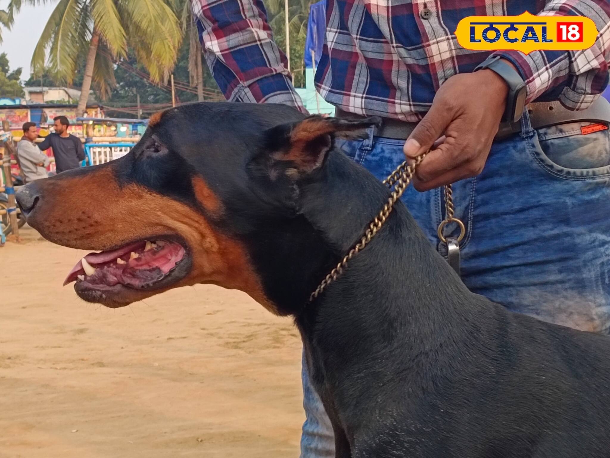 মাসে লাখ টাকার বেশি আয়! খুব কম টাকায় অল্প সময়ের এই কোর্স করলে টাকাই টাকা