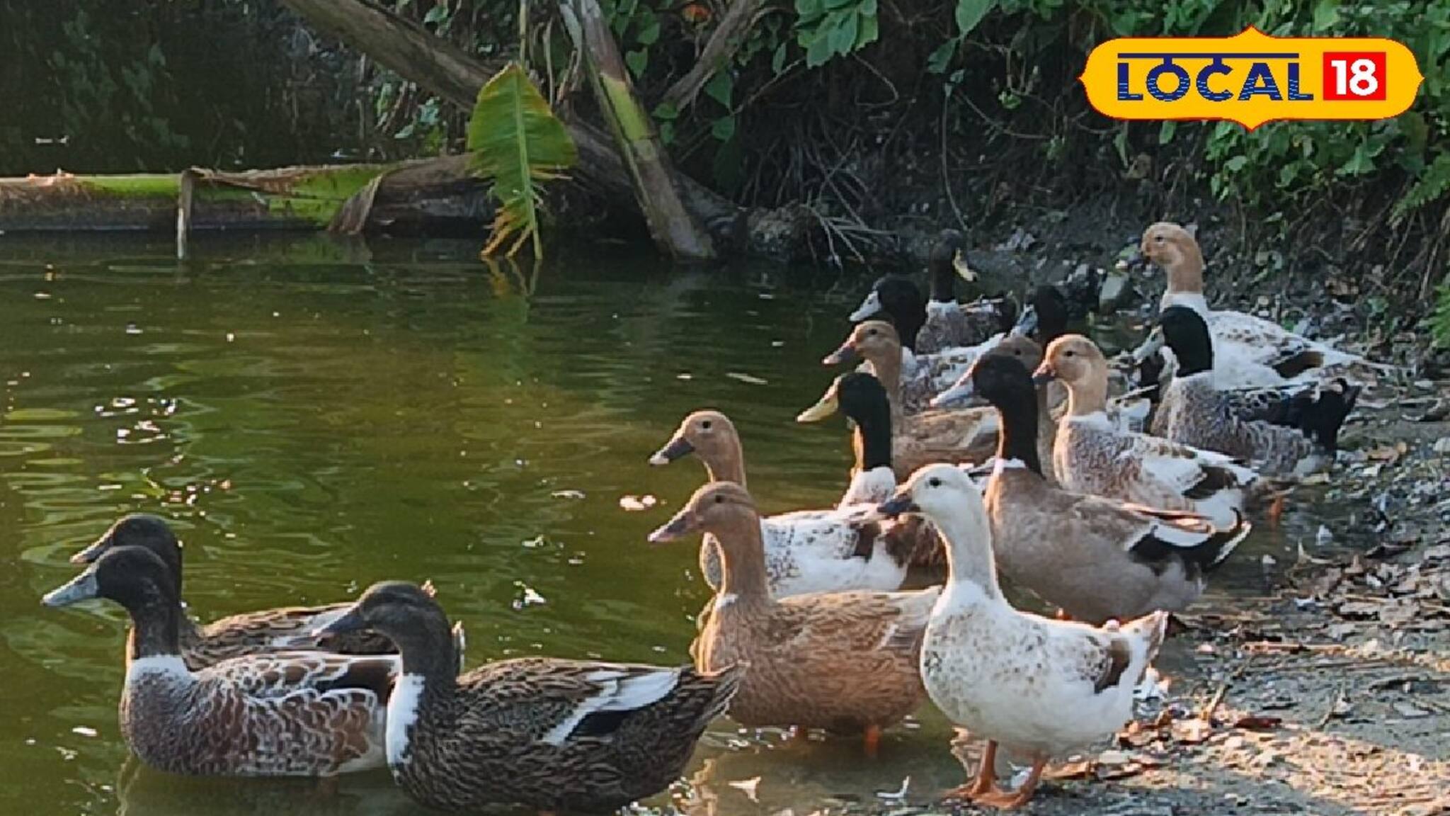 অল্প সময়ে সহজেই মোটা টাকা আয় ! দেখে নিন কী করে সম্ভব