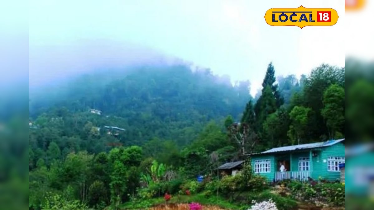 Christmas 2024 North Bengal Trip | সদ্য স্থান পেয়েছে পর্যটন মানচিত্রে, রিশপের খুব কাছে এই অভূতপূর্ব ছোট্ট গ্রাম, বড়দিনে ঘুরে আসুন