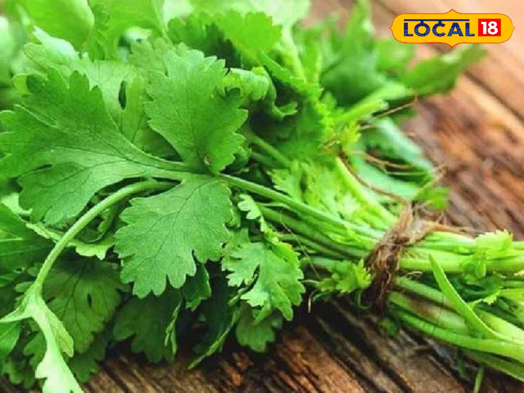 ডায়াবেটিসে নাজেহাল? ধনেপাতা খান এই নিয়মে! বহু জটিল রোগের ওষুধ!