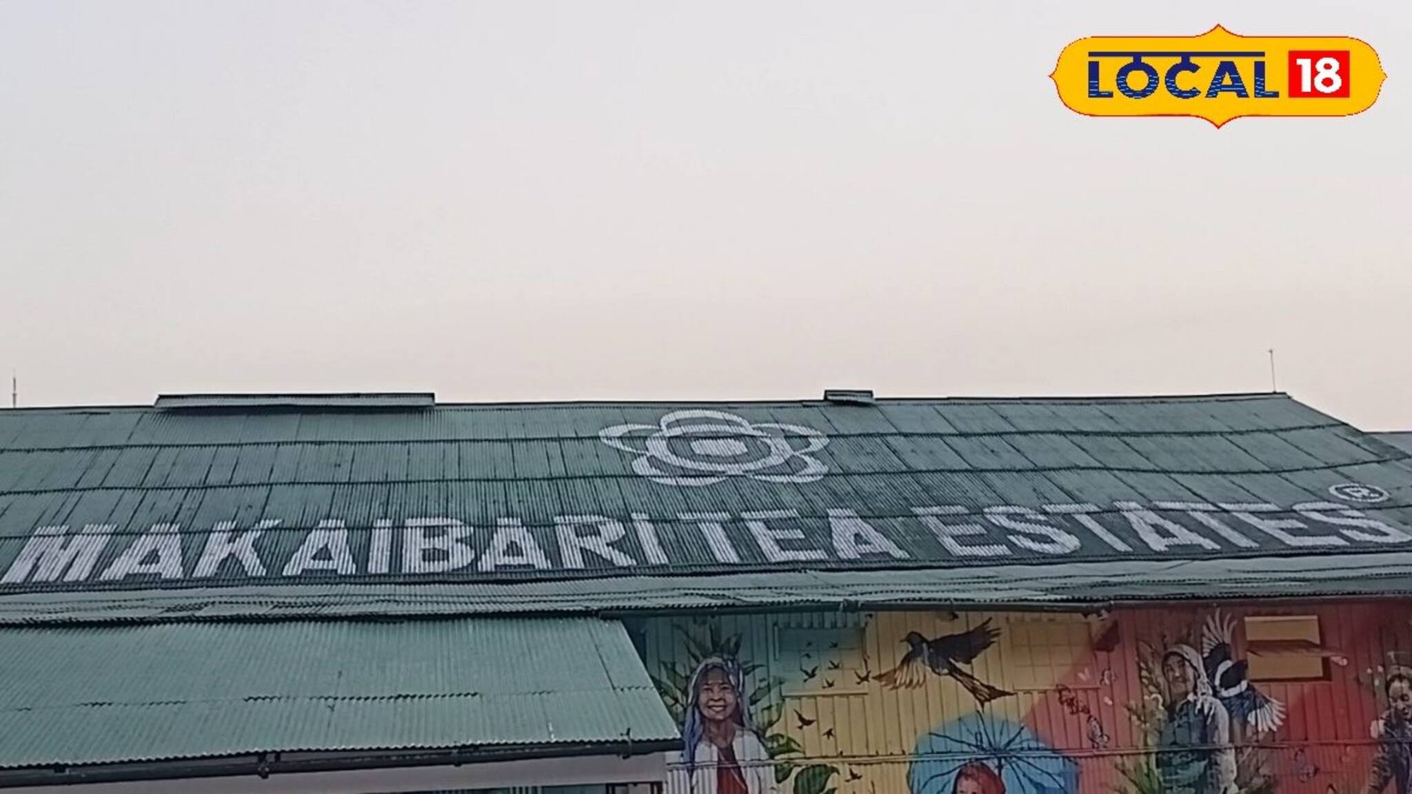 আচমকা হলটা কী? দেশ বিদেশ থেকে এই চা বাগানে ছুটে আসছেন পর্যটকেরা! কোথায় জানেন?