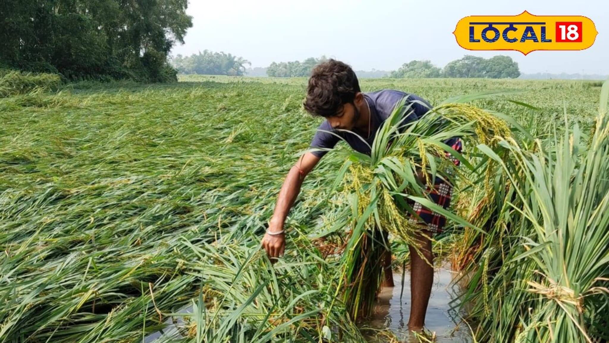 ঘূর্নিঝড়ে সব তছনছ...! কৃষকদের জন্য যা করছে রাজ্য সরকার, জানলে অবাক হবেন