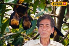 লোকে তাঁকে বলে ব্যাট ম্যান! জেলায় সবাই চেনে এই মানুষটিকে, তাঁর বাগান দেখার মতো