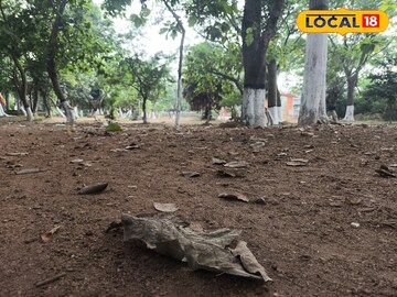 Picnic Spot in Bankura: বাঁকুড়া শহরের বুকে “বোলপুরের সোনাঝুরি”! গন্ধেশ্বরী নদীর তীরে মিষ্টি রোদ মেখে পিকনিক, শীতের ভরপুর মজা বাঁকুড়ায় এই জায়গায়, যাবেন নাকি?