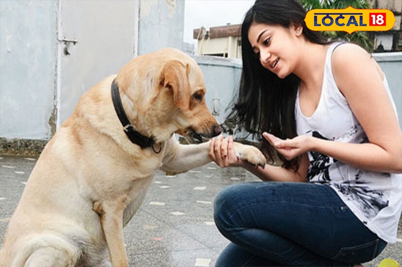 বাড়ির নিরাপত্তায় কুকুর গুরুত্বপূর্ণ ভূমিকা পালন করে। এর সাহায্যে রাশিফলের অনেক গ্রহের দোষ দূর হয়। জ্যোতিষবিদ সুকুমার রায় জানান, বাড়ির নিরাপত্তায় কুকুর গুরুত্বপূর্ণ ভূমিকা পালন করে। এর সাহায্যে রাশিফলের অনেক গ্রহের দোষ দূর হয়। জ্যোতিষবিদ সুকুমার রায় জানান,